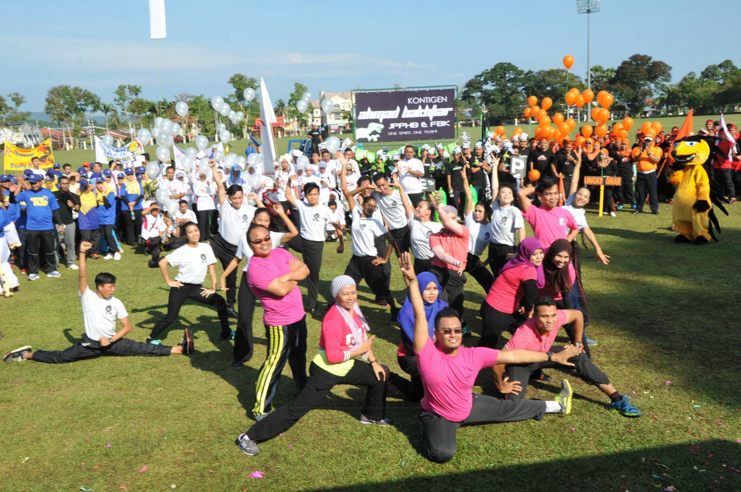 PRO 15 53 KIESTA HAS 3953